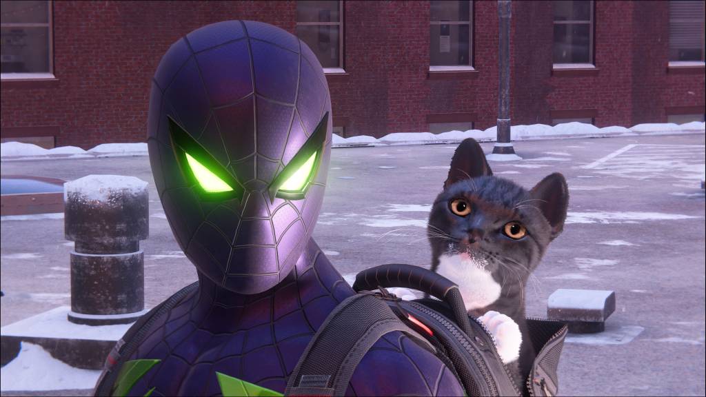 Spider-Man: Miles Morales - Spider-Man and a Cat